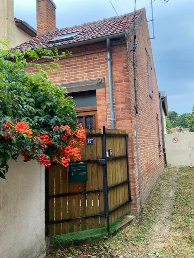 Villa La Petite Maison Solognote La Ferté-Saint-Aubin Exterior foto